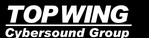 Top wing