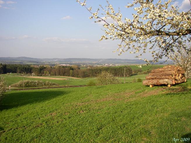 near own city