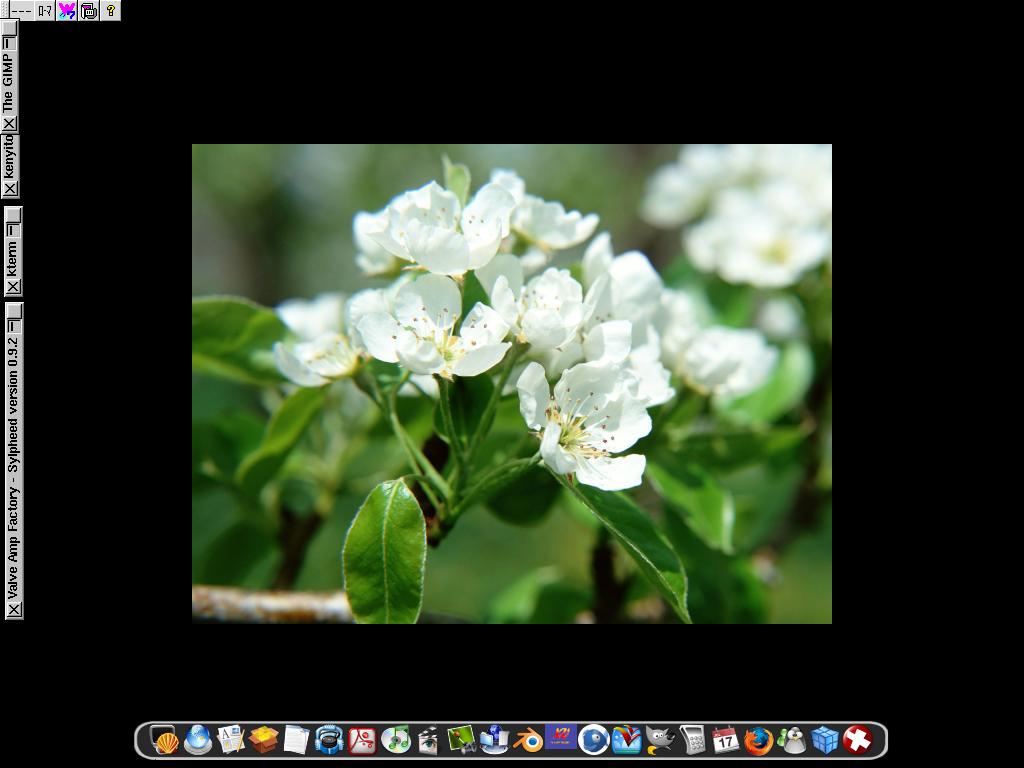FLWM + Wbar