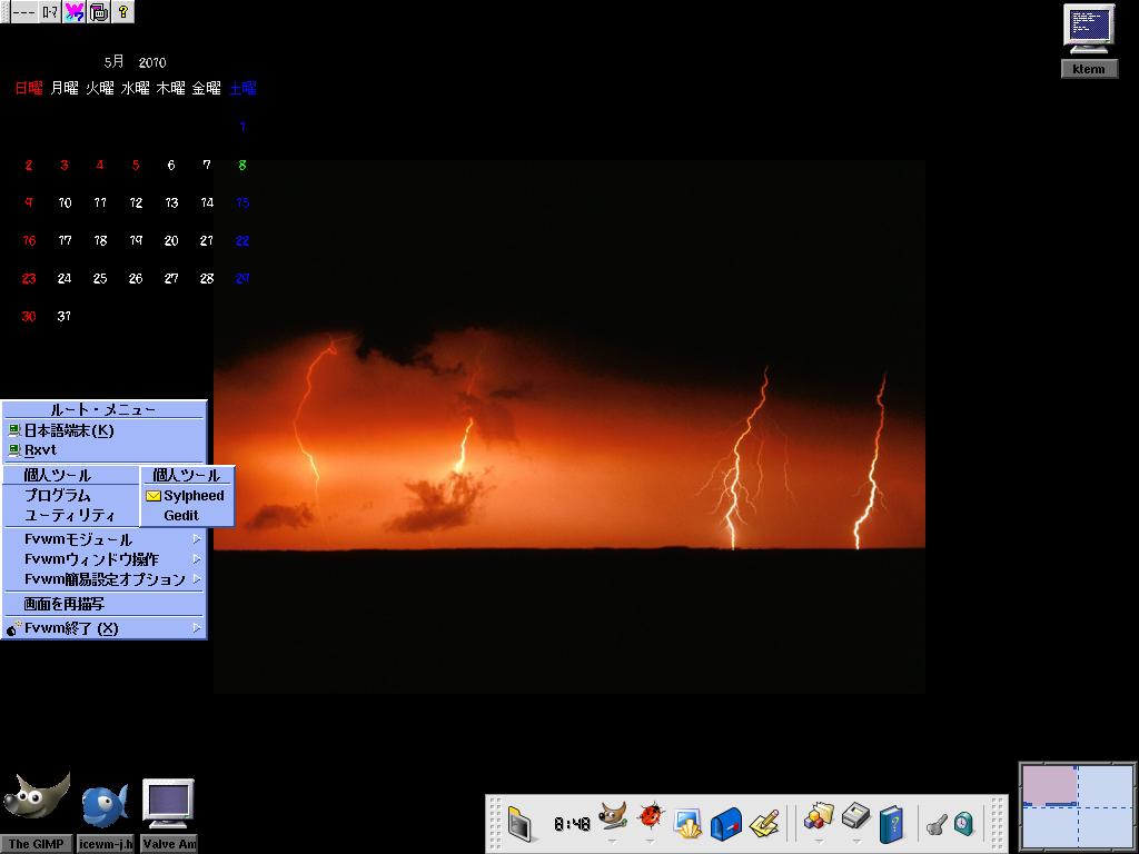 FVWM2 + Xfce4-panel