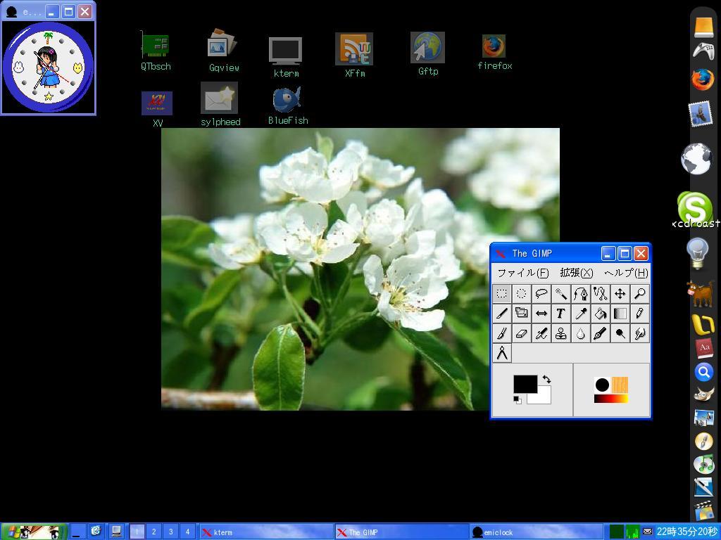 right side wbar + idesk up + ICEWM 