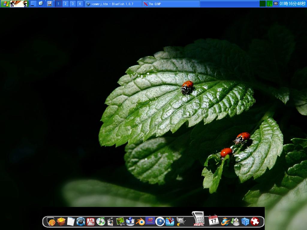 ICEWM + Wbar 