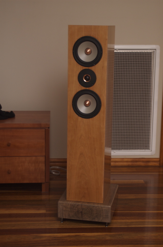 a half of speaker system