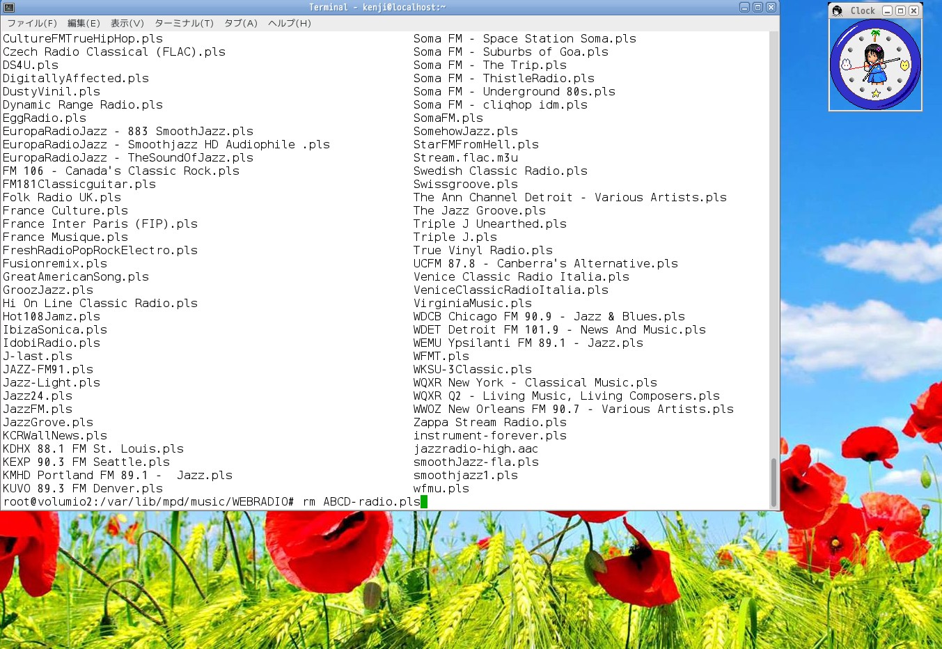 delete file using Linux command