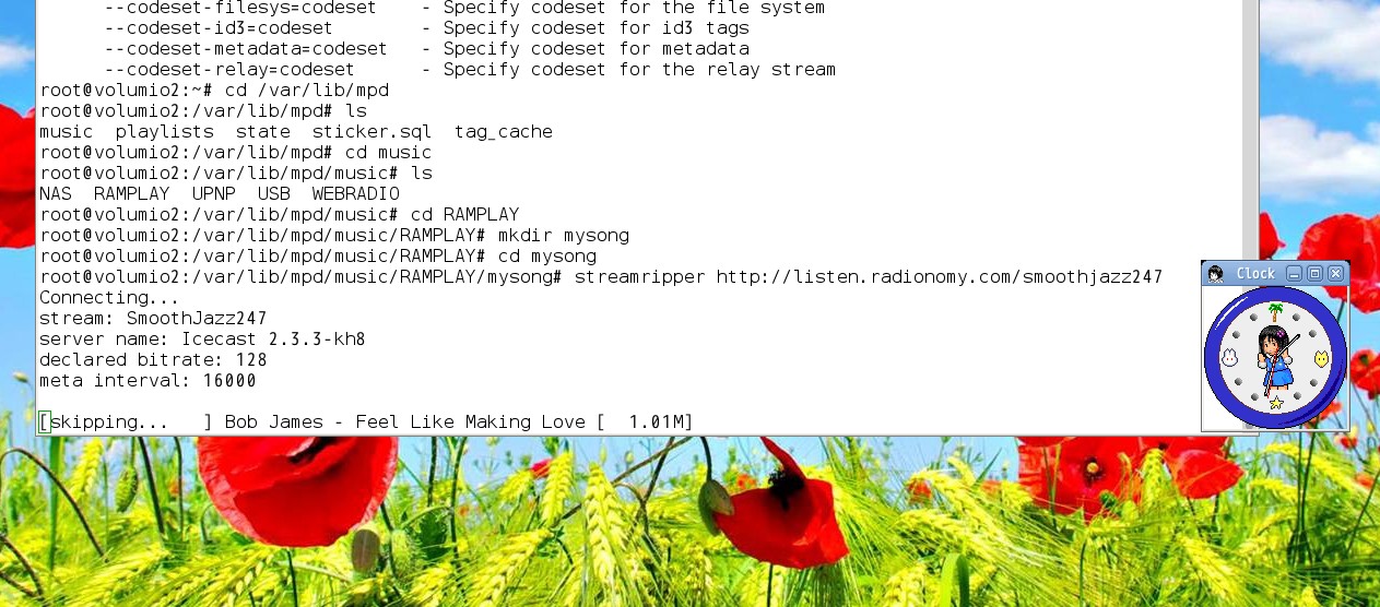 install application on volumio 1.55
